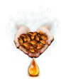 AlmondOil