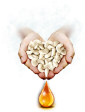 CachewOil