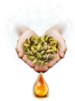 PistachiosOil